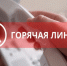 Проведение горячей линии по вопросам оказания платных образовательных услуг. - Пижанский муниципальный округ