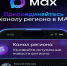 Национальный мессенджер МАХ. - Пижанский муниципальный округ